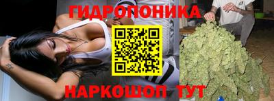 СК Бузулук