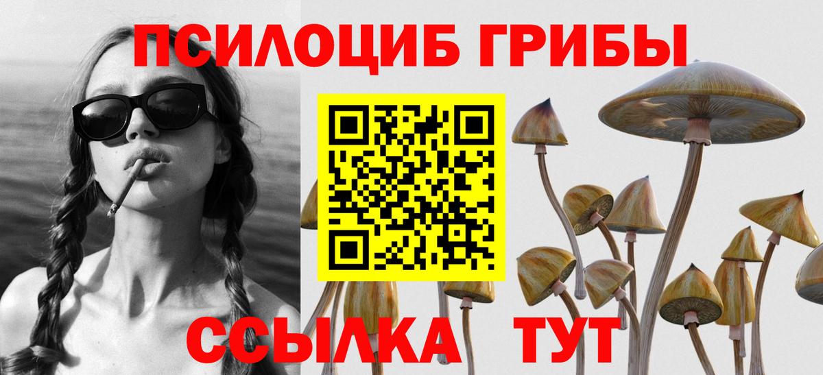 Псилоцибиновые грибы MAGIC MUSHROOMS  Галлюциногенные грибы прущие грибы  купить закладку  Вход с VPN  Копейск 